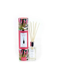 Ashleigh & Burwood Reed Diffuser - Honeysuckle Blooms